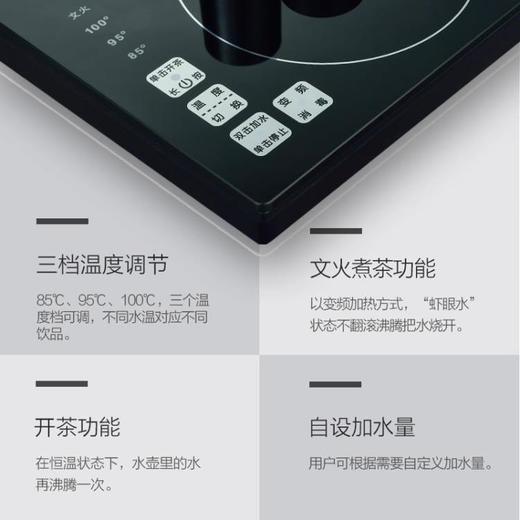永利汇吉谷电器电热水壶全尚TC0207嵌入式304不锈钢电水壶恒温消毒抽水 商品图3