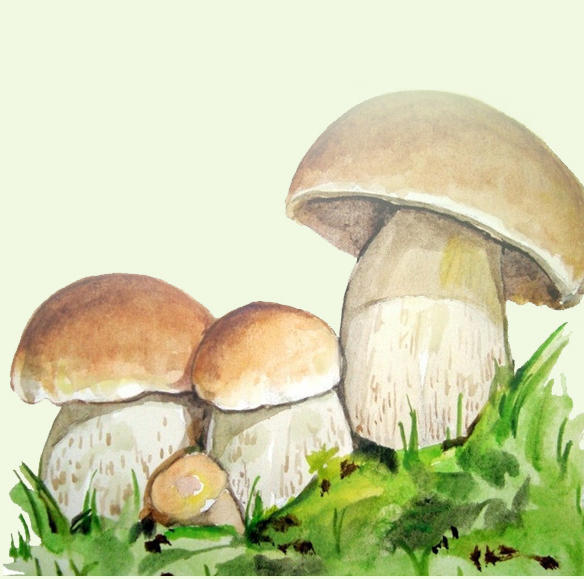 舌尖上的旅途200511