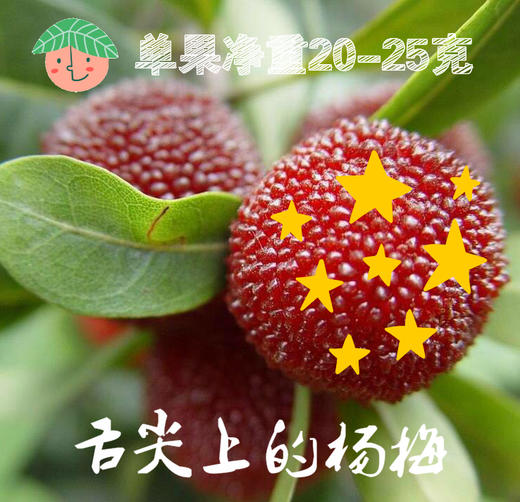 （永久下架）星座农场--- 仙居东魁杨梅6斤装 商品图0