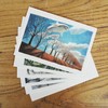 《飞鸟集》插图明信片 商品缩略图0