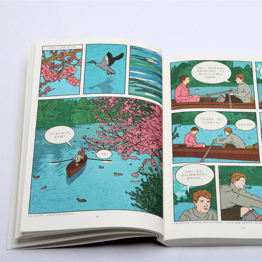 《遗产》2014年法国安古兰国际漫画节年度漫画大奖作品 商品图4