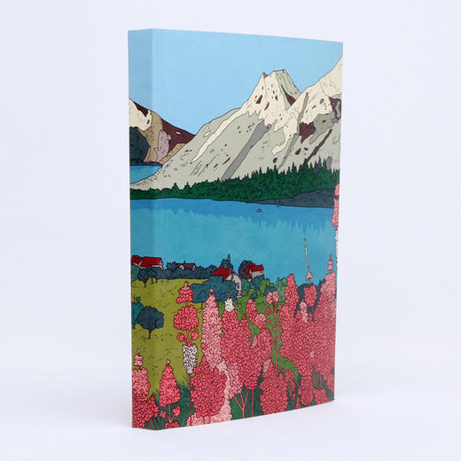 《遗产》2014年法国安古兰国际漫画节年度漫画大奖作品 商品图3