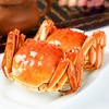 浅水湾六月黄大闸蟹 商品缩略图2