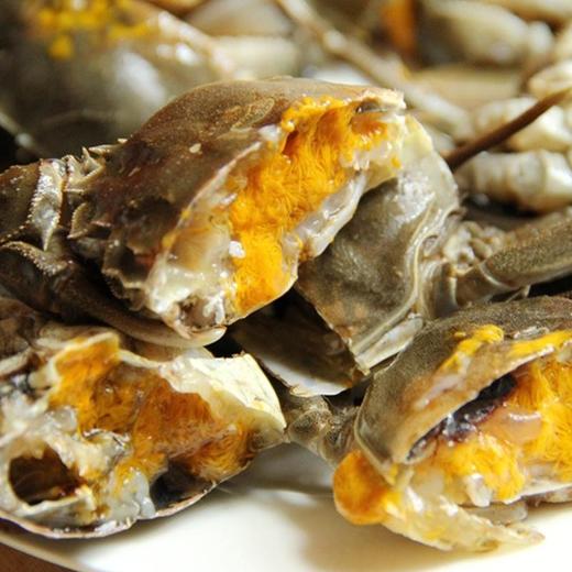 浅水湾六月黄大闸蟹 商品图1