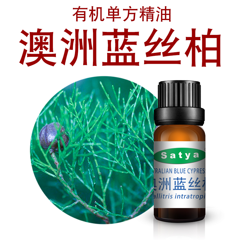 satya澳洲蓝丝柏精油5ml富含愈创天蓝烃 单方精油