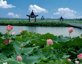 (永久下架)【预付】《我请你吃饭》之金湖龙虾宴