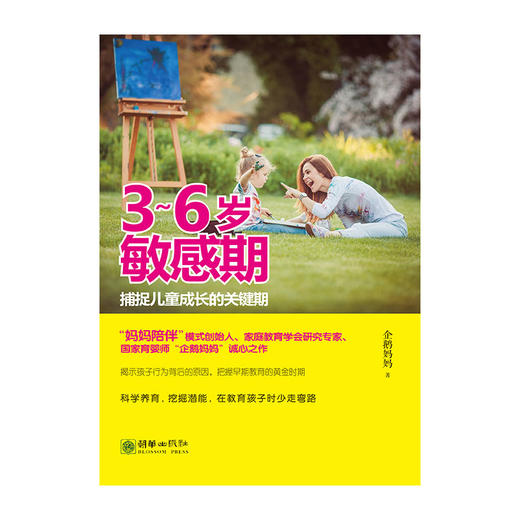 3～6岁敏感期捕捉儿童成长关键期 企鹅妈妈著 商品图1