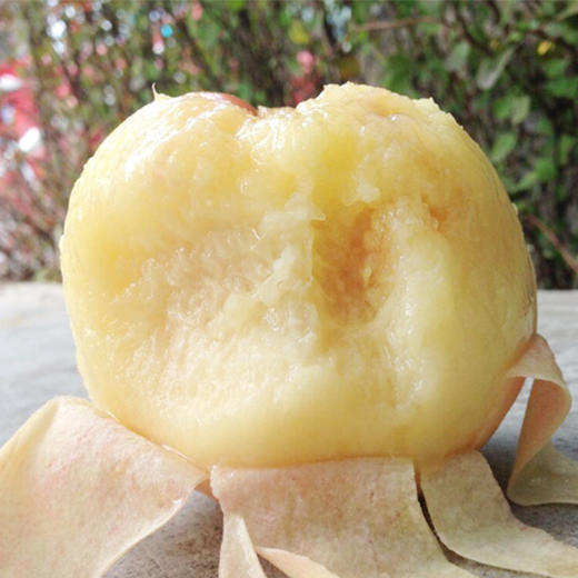 无锡阳山水蜜桃 白凤桃 商品图3