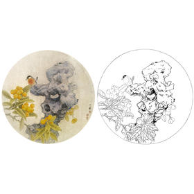 工笔花鸟白描底稿-周中耀-枇杷小品《朱弹金丸璨门庭》-多种白描尺寸可选-ZY16