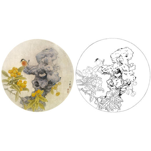 工笔花鸟白描底稿-周中耀-枇杷小品《朱弹金丸璨门庭》-多种白描尺寸可选-ZY16 商品图0