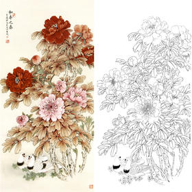 四尺六尺竖幅工笔花鸟白描底稿-牡丹-王庆升《和平之春》-多种白描尺寸可选-RT16