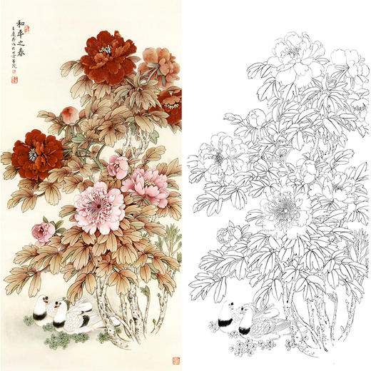 四尺六尺竖幅工笔花鸟白描底稿-牡丹-王庆升《和平之春》-多种白描尺寸可选-RT16 商品图0