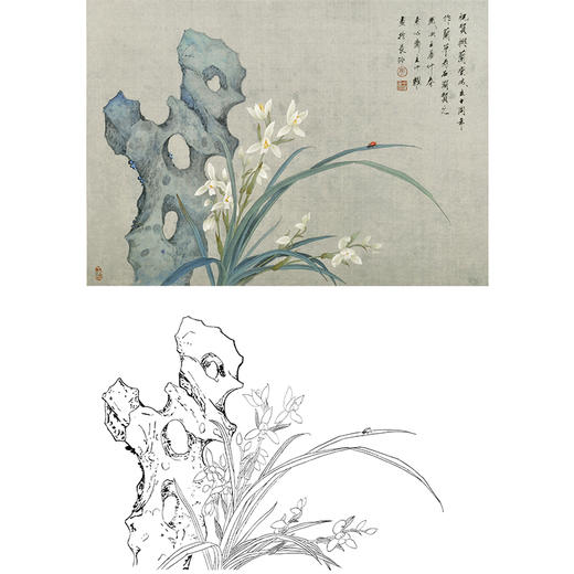 工笔花鸟白描底稿-兰花-周中耀《幽兰》-斗方小品册页-ZT18 商品图0