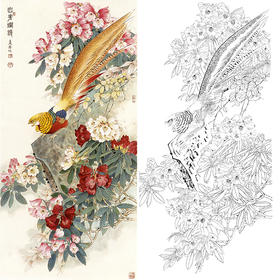 四尺六尺竖幅工笔花鸟白描底稿-王庆升锦鸡-RT10
