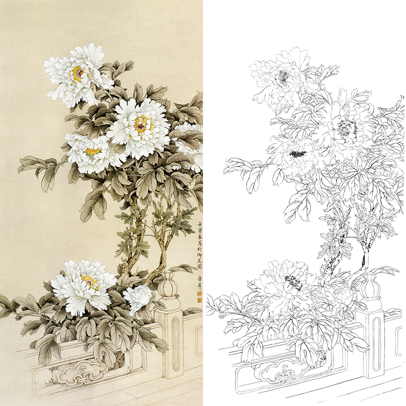 竖幅工笔四尺六尺花鸟白描底稿-牡丹-王庆升《御花园白牡丹》-RT07