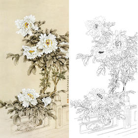 竖幅工笔四尺六尺花鸟白描底稿-牡丹-王庆升《御花园白牡丹》-RT07