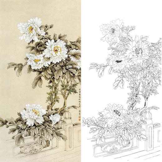 竖幅工笔四尺六尺花鸟白描底稿-牡丹-王庆升《御花园白牡丹》-RT07 商品图0