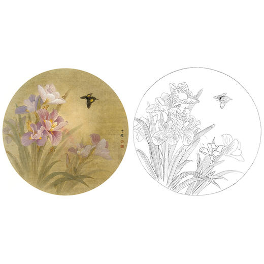 工笔花鸟白描底稿-周中耀蝴蝶小品《鸢尾花》-多种白描尺寸可选-ZY15 商品图0