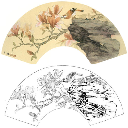 工笔花鸟白描底稿-周中耀扇面小品《欲翔恋春花》-多种白描尺寸可选-SL25 商品图0