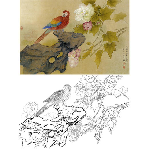 横幅工笔花鸟白描底稿-周中耀-鹦鹉《陇客吟语赞芙蓉》-多种白描尺寸可选-ZT16 商品图0