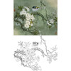 工笔花鸟白描底稿-周中耀-樱花《自娱》-斗方小品册页-多种白描尺寸可选-ZT15 商品缩略图0