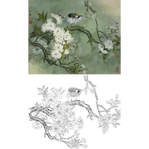 工笔花鸟白描底稿-周中耀-樱花《自娱》-斗方小品册页-多种白描尺寸可选-ZT15 商品图0