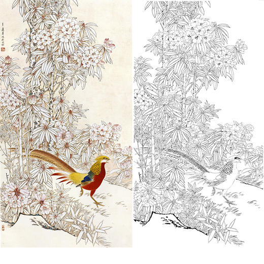四尺六尺竖幅工笔花鸟白描底稿-王庆升杜鹃锦鸡-RT01 商品图0