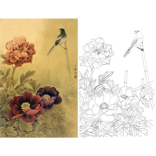 竖幅工笔花鸟白描底稿-周中耀-牡丹《天香驻喜》-多种白描尺寸可选-ZT09 商品图0