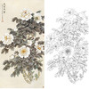 四尺六尺竖幅工笔花鸟白描底稿-牡丹-王庆升《芳馨玉洁》-多种白描尺寸可选-RT13 商品缩略图0