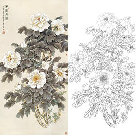 四尺六尺竖幅工笔花鸟白描底稿-牡丹-王庆升《芳馨玉洁》-多种白描尺寸可选-RT13