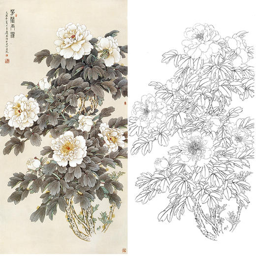四尺六尺竖幅工笔花鸟白描底稿-牡丹-王庆升《芳馨玉洁》-多种白描尺寸可选-RT13 商品图0