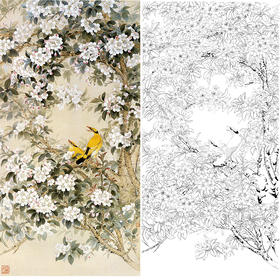 四尺六尺竖幅工笔花鸟白描底稿-王庆升海棠黄鹂-RT15