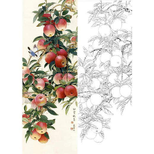 竖幅条屏工笔花鸟白描底稿-苹果-王庆升水果对屏之二-RT12 商品图0