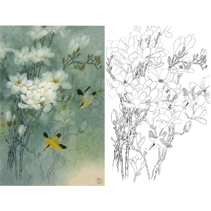 竖幅工笔花鸟白描底稿-周中耀-玉兰花《高洁图》-多种白描尺寸可选-ZT07