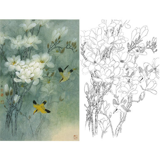 竖幅工笔花鸟白描底稿-周中耀-玉兰花《高洁图》-多种白描尺寸可选-ZT07 商品图0