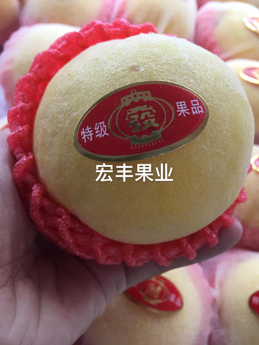 【宏丰精选】   平谷大桃之黄桃  果肉金黄  北京平谷特产  香味浓郁    软一点可以撕皮，爆汁！ 商品图6