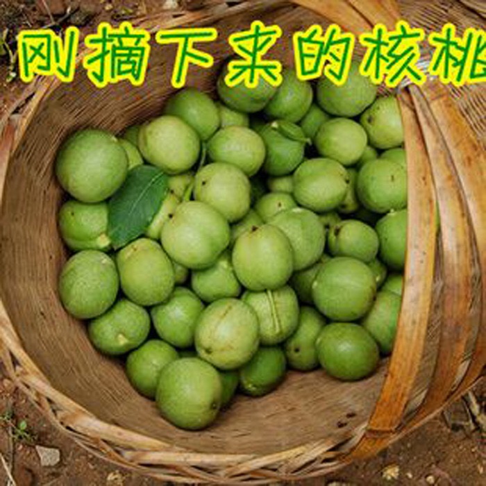 青皮核桃现摘现发