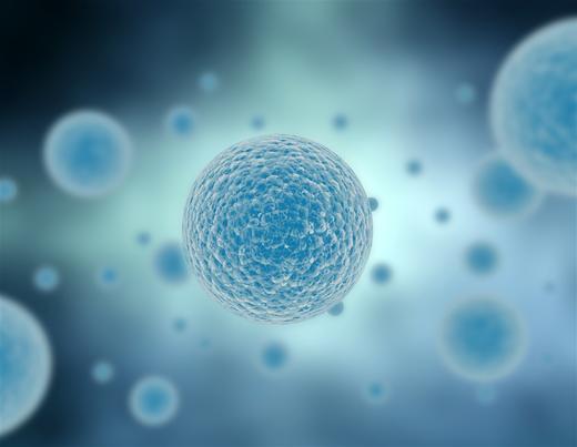 细胞凭什么成为健康的“关键” 商品图0