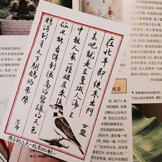 啼莺余花花笺纸 （啼莺） 商品图3