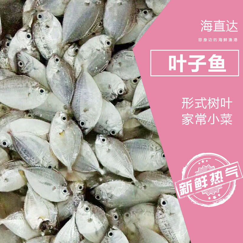 冰鲜叶子鱼(500g/份)
