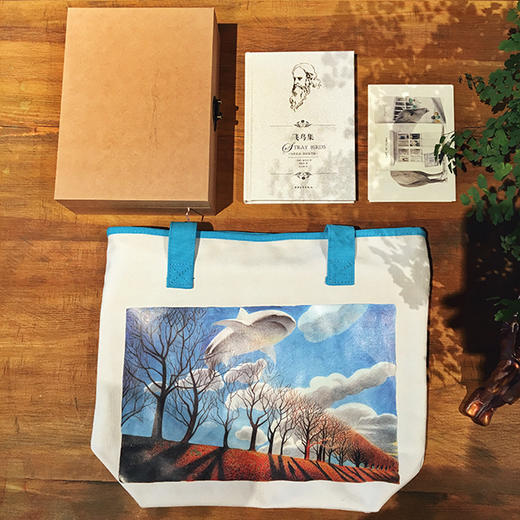 《飞鸟集》套装（手绘签名本+明信片+书箧+背包） 商品图0