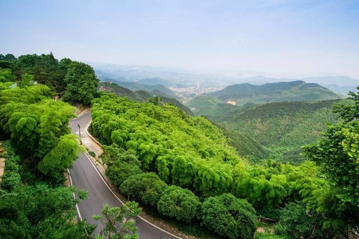 周边游玩-- 【莫干山景区】 莫干山的中心景区,包括塔山,中华山,金