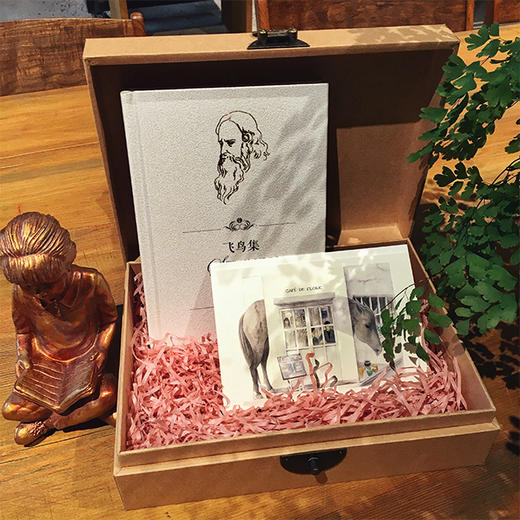 《飞鸟集》套装（手绘签名本+明信片+书箧） 商品图0