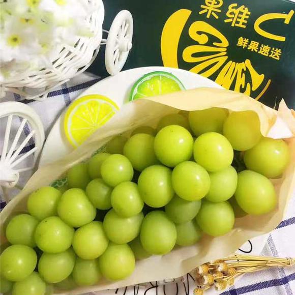香印青提