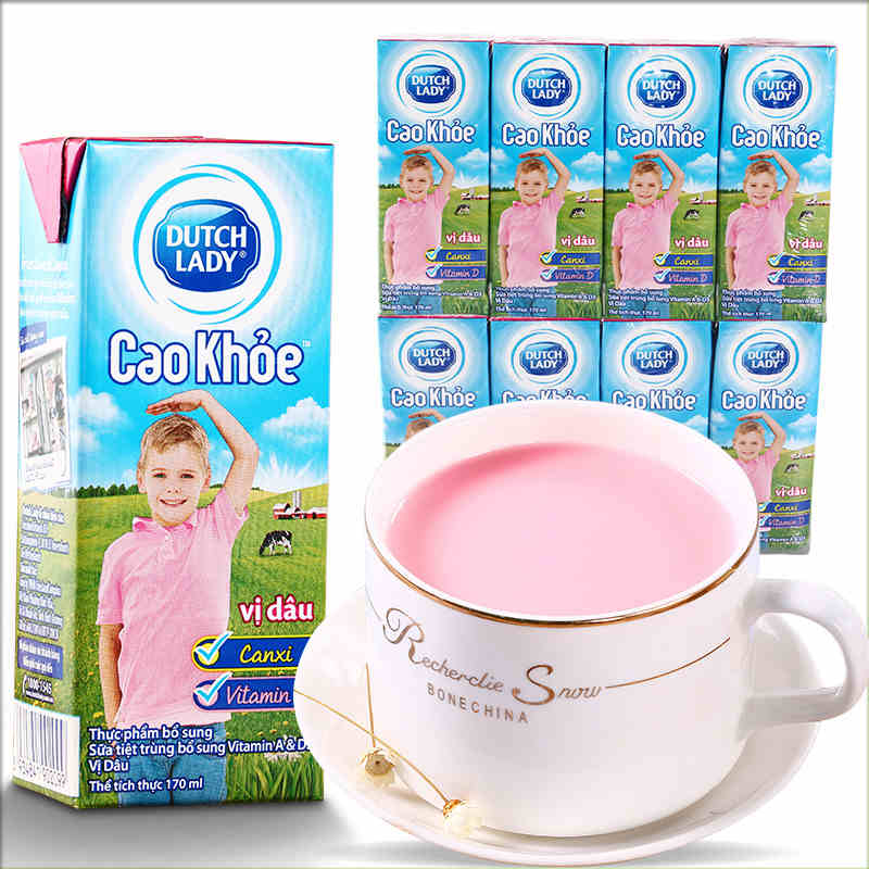 荷兰dutch lady子母奶草莓味170ml4盒早餐牛奶