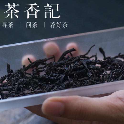 茶香记 温永胜亲作 桐木老枞红茶 百年老枞 武夷红茶2017 商品图1