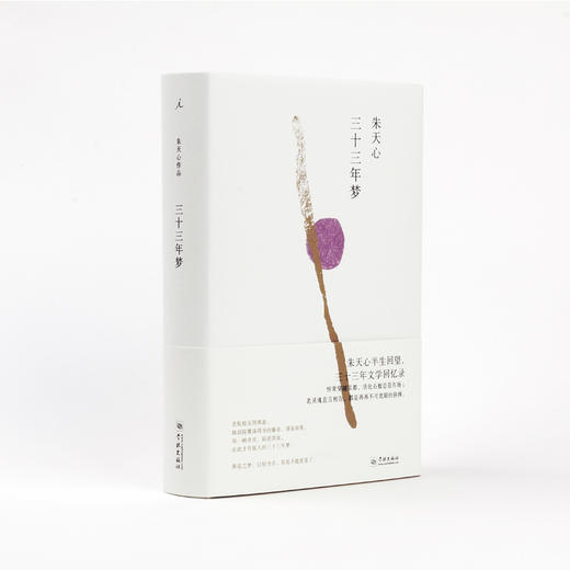 三十三年梦  朱天心 商品图0