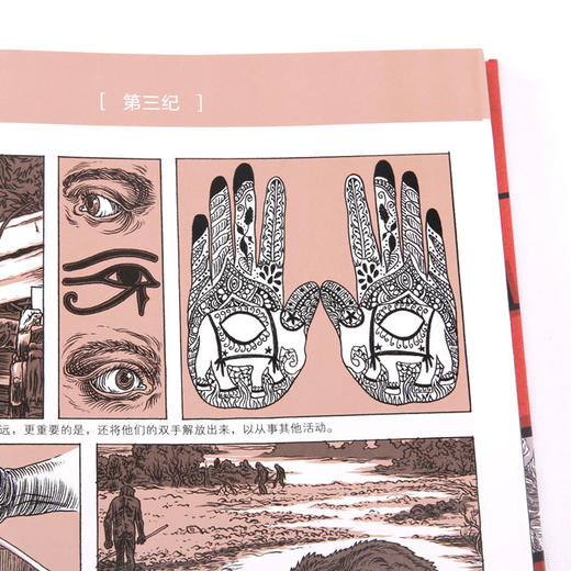 万物：文明（三部曲第二部上卷：从人类诞生到古罗马） 商品图6