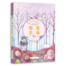 看见生命 我的森林笔记 春夏秋冬 中国版森林报 正版科普读物儿童书籍6-12岁