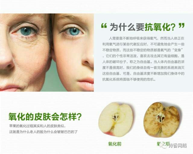 富含天然强效抗氧化成分,中和及保护皮肤不受自由基损害,令你的肌肤水